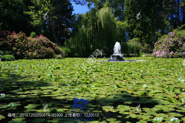 筆架山公園；Victoria；公元前；加拿大