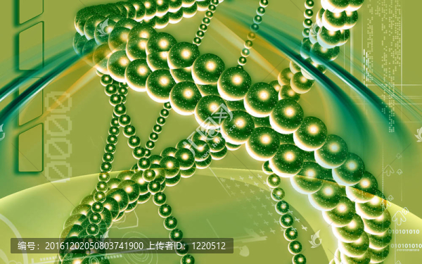 DNA
