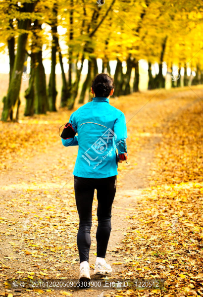 年輕的女人在公園里慢跑。健康和健身
