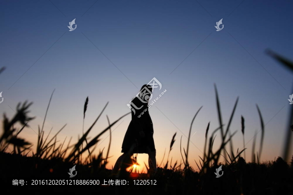 漫步在田野和夕陽中的年輕人