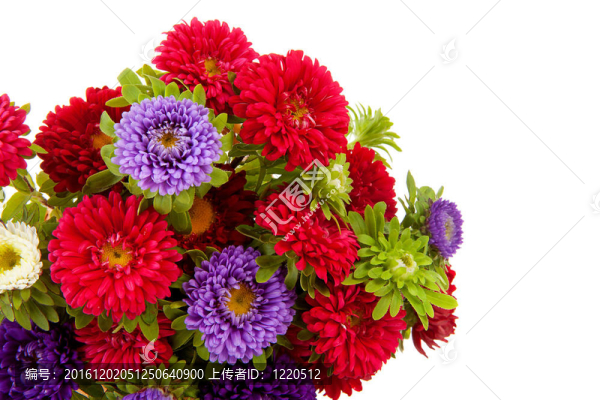 豐富多彩的紫苑花花束