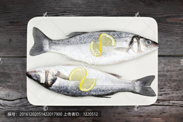 黑鱸.