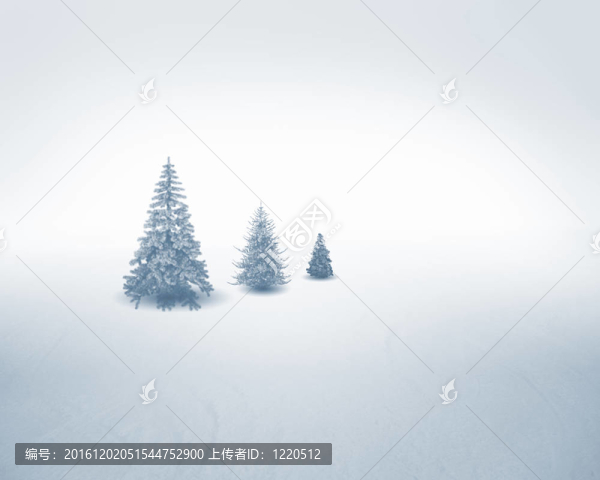 白色的雪樹
