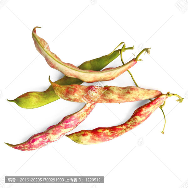 粉紅色的豆