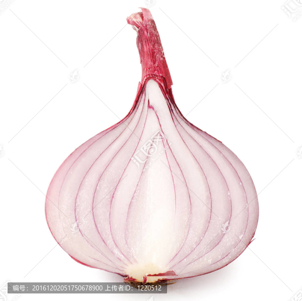 新鮮洋蔥