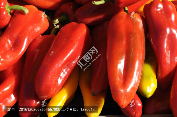 紅辣椒