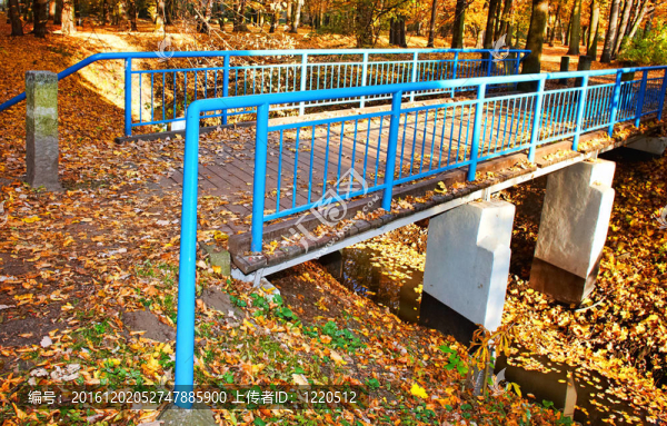 森林中的藍(lán)色橋