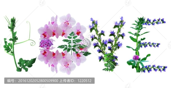 愛(ài)是神奇的詞