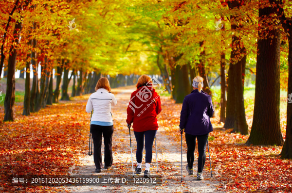 三名女性在公園-北歐步行