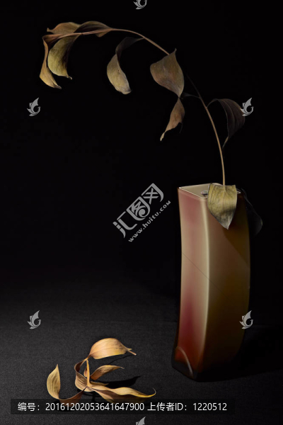 干枯的葉子