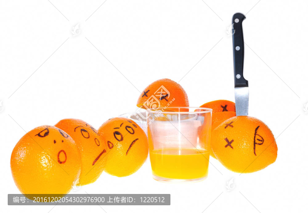 橙子的關(guān)注。