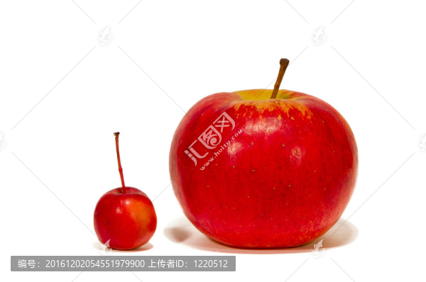 大的和小的紅蘋果