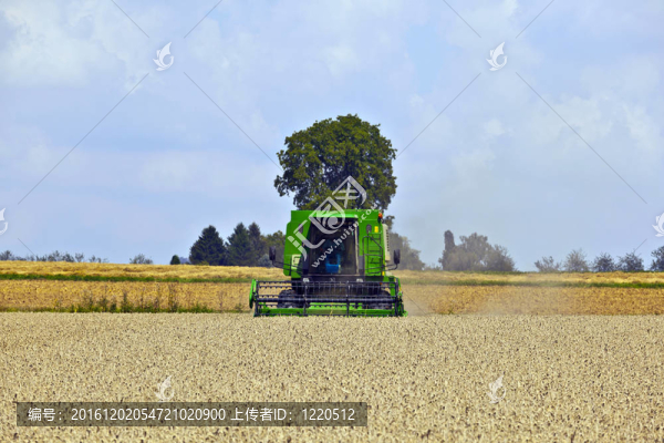玉米田收割機(jī)