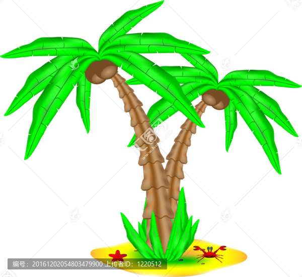 熱帶島嶼椰子棕櫚