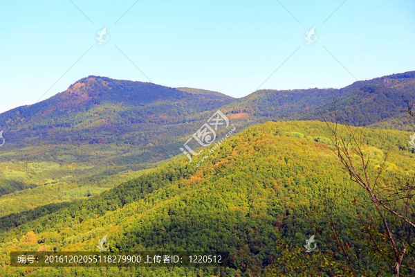 高加索山脈夏季景觀