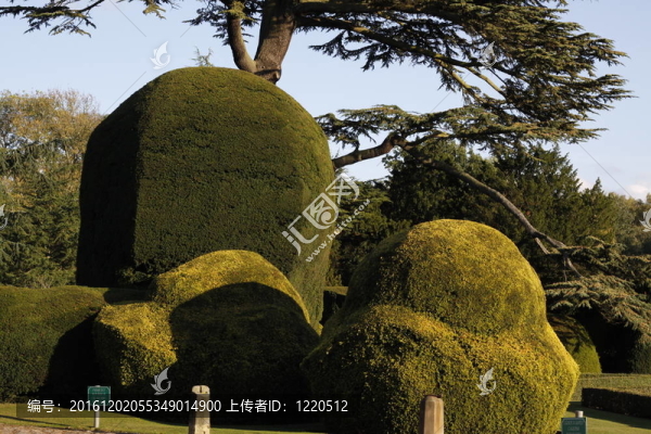 正式的花園