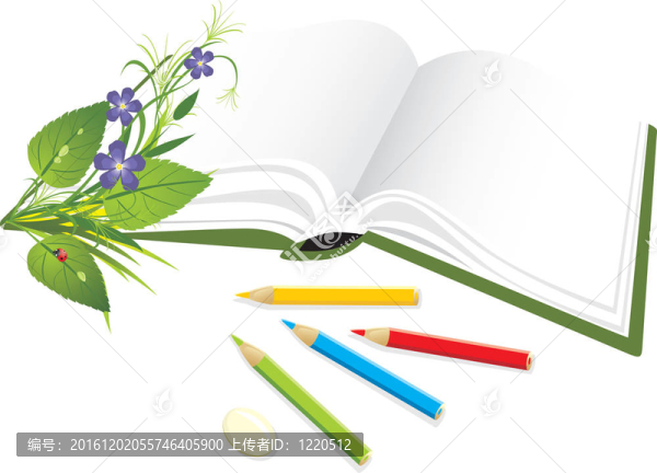 書；鉛筆和花的花束
