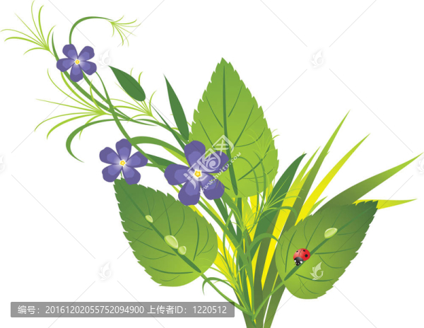 一束花和草