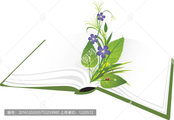 書和花束