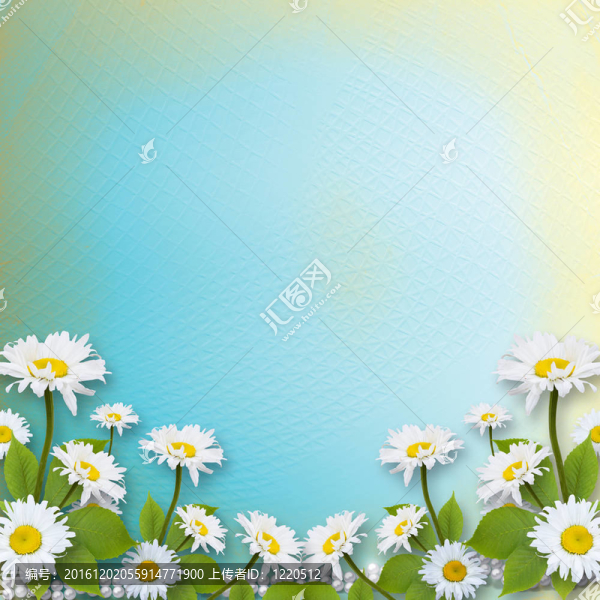 邀請(qǐng)或祝福鮮花卡