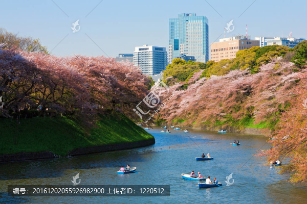 北之丸公園