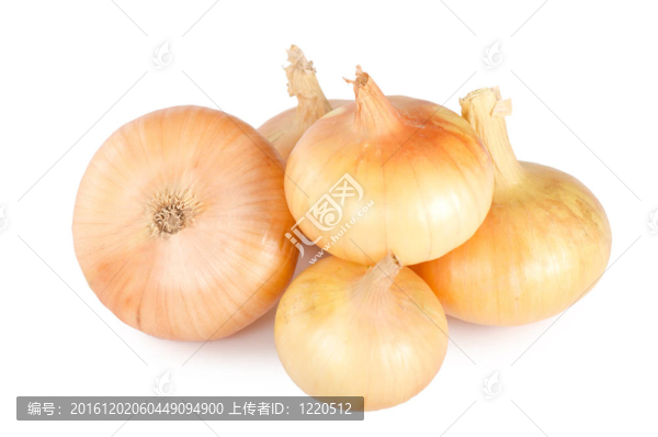 新鮮洋蔥