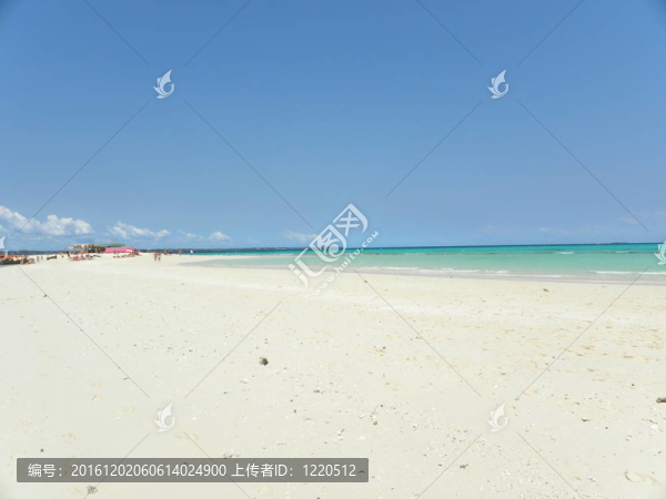 桑給巴爾海灘