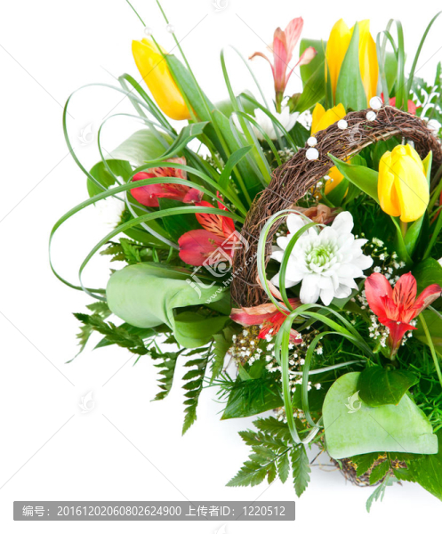 一束黃色的郁金香花