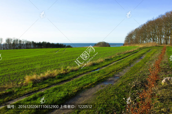 田野間的鄉(xiāng)間小路
