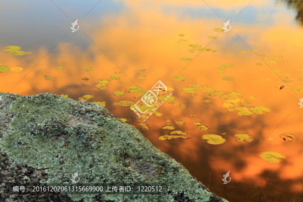 湖濱片段