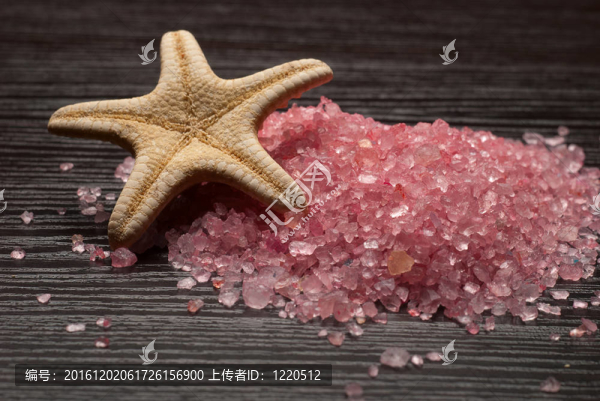 海星和芳香鹽-匯圖網(wǎng) www.fosd68.com 海星和芳香鹽