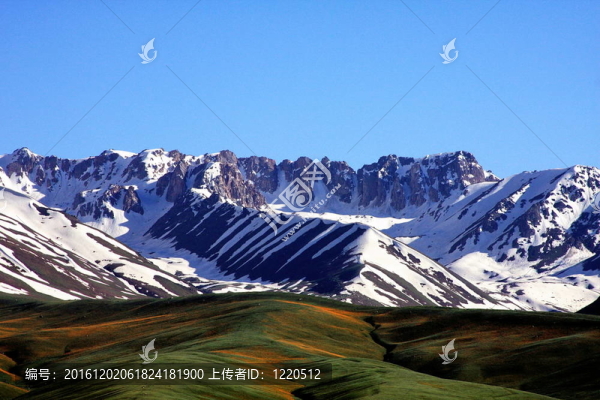 田珊雪山
