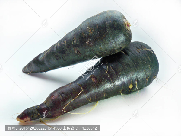 新鮮黑胡蘿卜