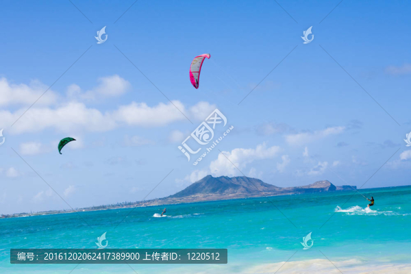 夏威夷風(fēng)箏板