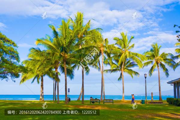 夏威夷u3000waikiki海灘