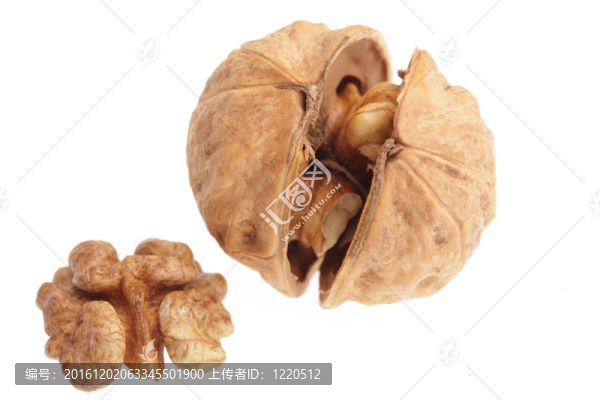 白色背景上分離的核桃仁