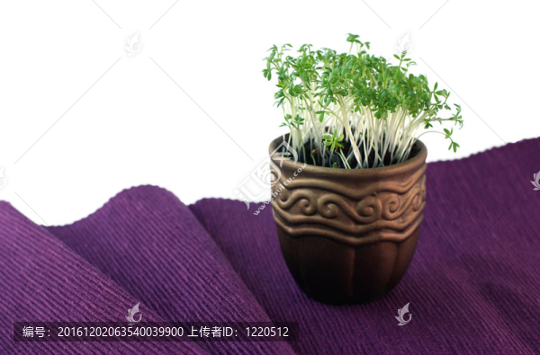 鍋水