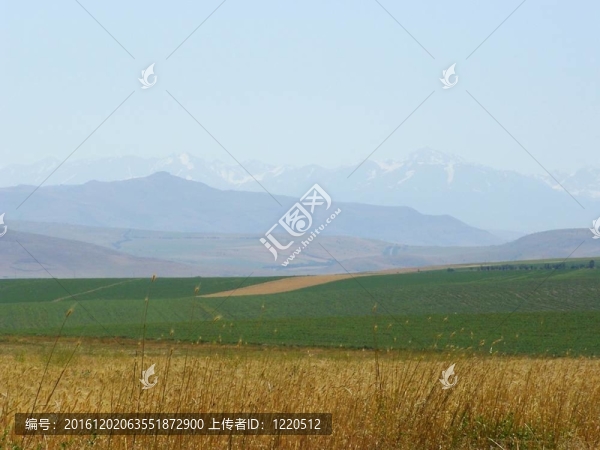 全景