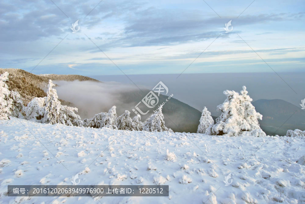 冬山