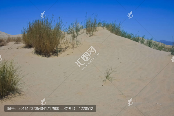 在沙丘