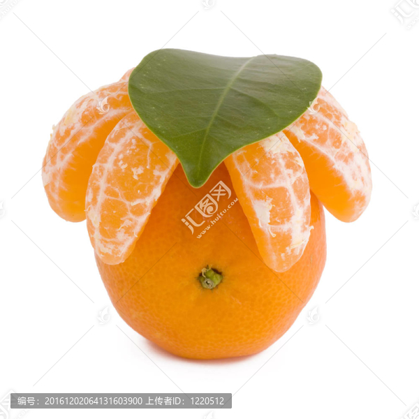 Tangerine夜店與葉