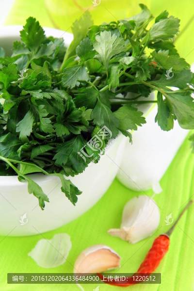 在一個(gè)迫擊炮的綠色香菜