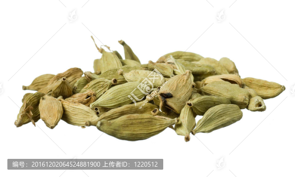 小豆蔻種子