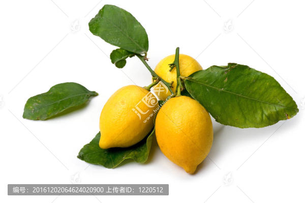 檸檬白