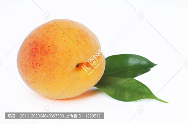 杏
