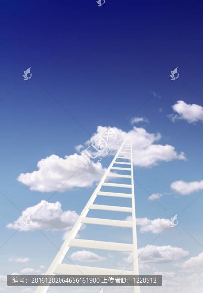 梯子的天空