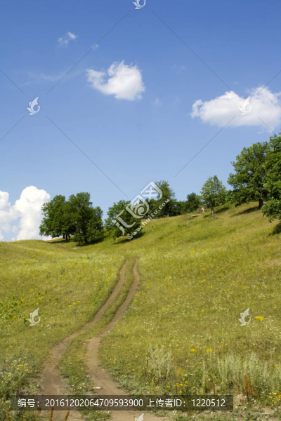 夏天的風景