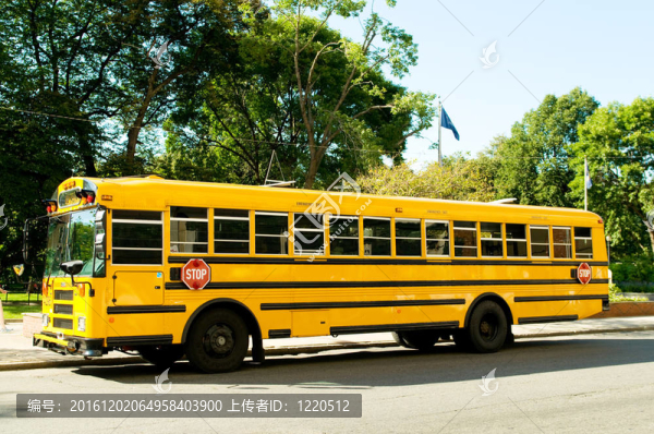 在街上的黃色校車