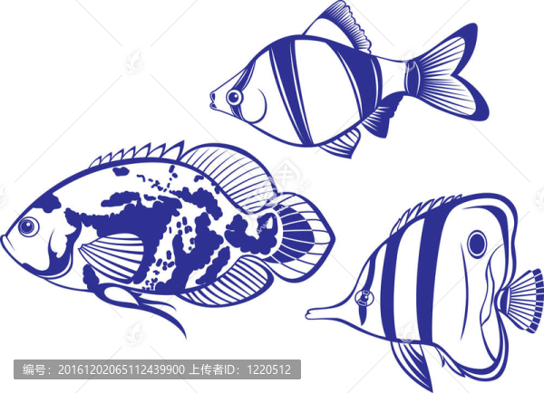 熱帶魚