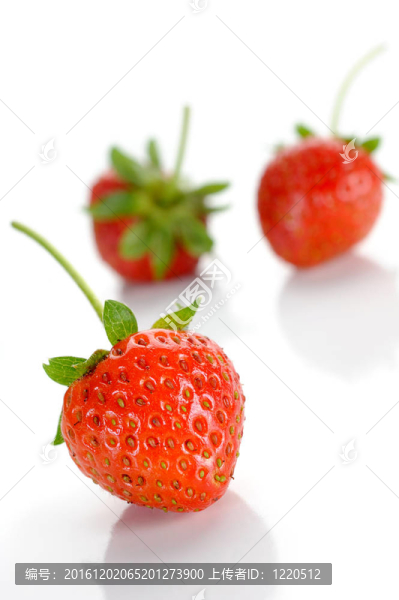 草莓